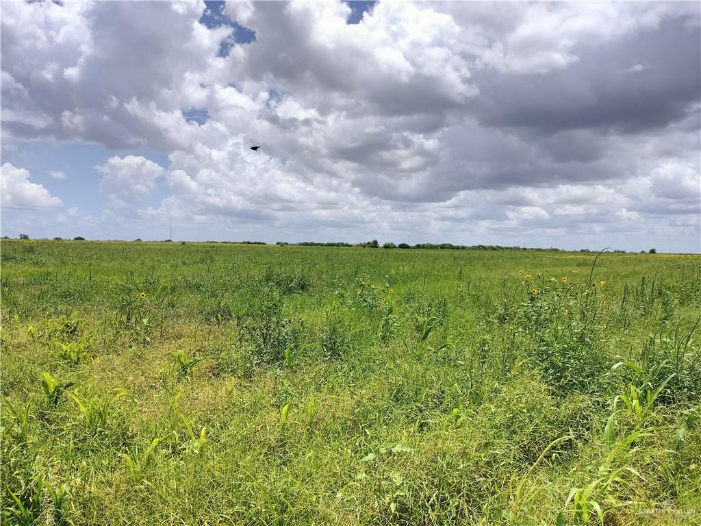 Land home at 0000 FM 490, La Sara, Texas
