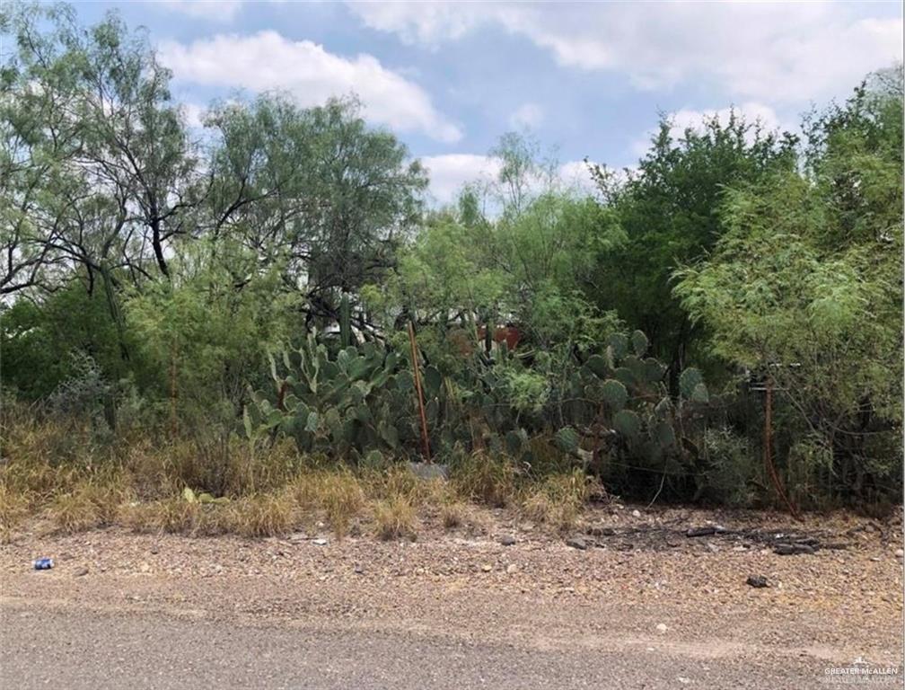 Land home at 00 Ebony Avenue, Roma, Texas