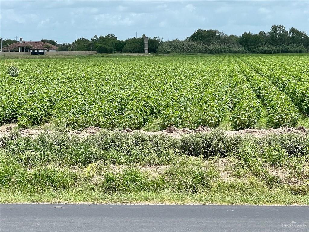 Land home at TBD Military Road, Progreso, Texas