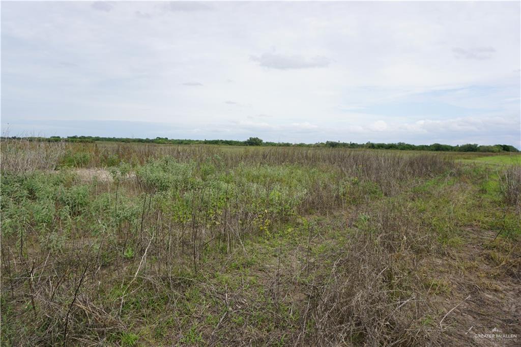 Land home at 1/2 Jesus Flores Road, Monte Alto, Texas