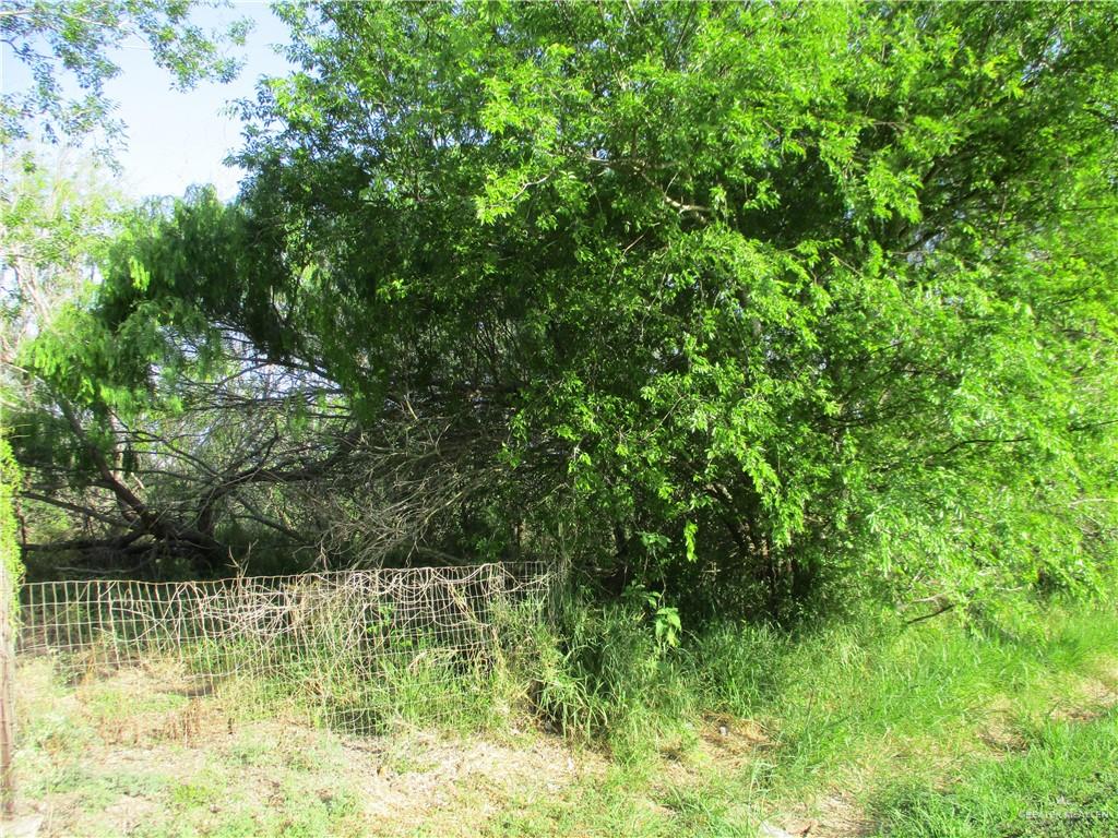 Land home at 0 Cantu Road, Santa Rosa, Texas