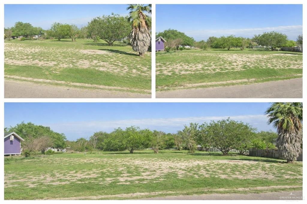 Land home at TBD Washington Palm Drive, Penitas, Texas