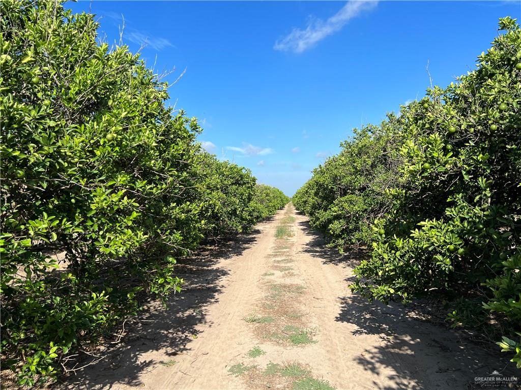 Land home at 10.75 Mi Western Road, Edinburg, Texas